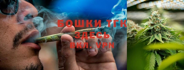 индика Заводоуковск