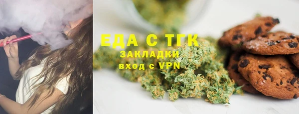 индика Заводоуковск