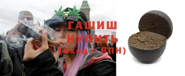 индика Заводоуковск