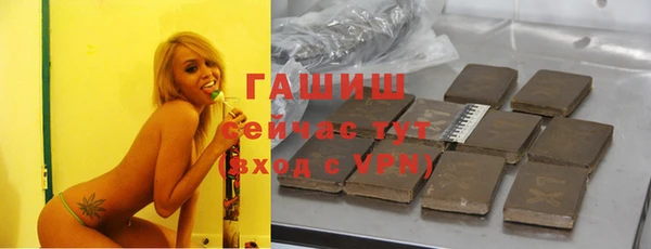 индика Заводоуковск