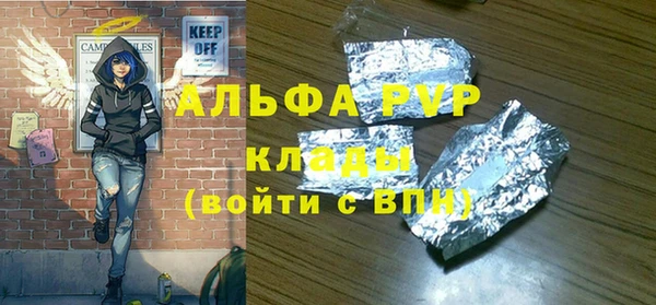 индика Заводоуковск