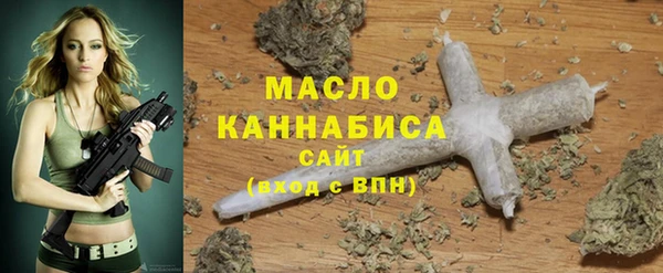 индика Заводоуковск