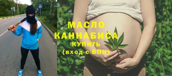 индика Заводоуковск