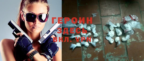 индика Заводоуковск
