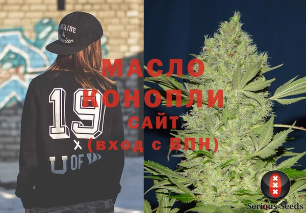 индика Заводоуковск
