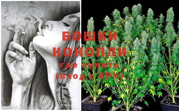 индика Заводоуковск