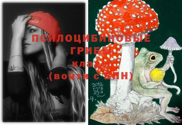 мдпв Заволжье