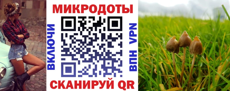 Галлюциногенные грибы Magic Shrooms  блэк спрут ссылки  Камызяк 