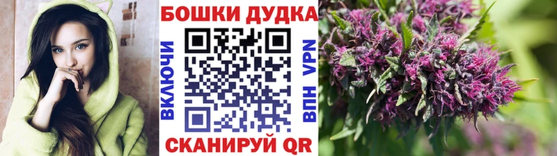 Марихуана план  Камызяк 